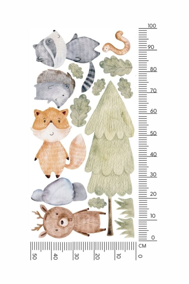 Rakunlu Orman Ailesi Duvar Stickerı - 50 x 100