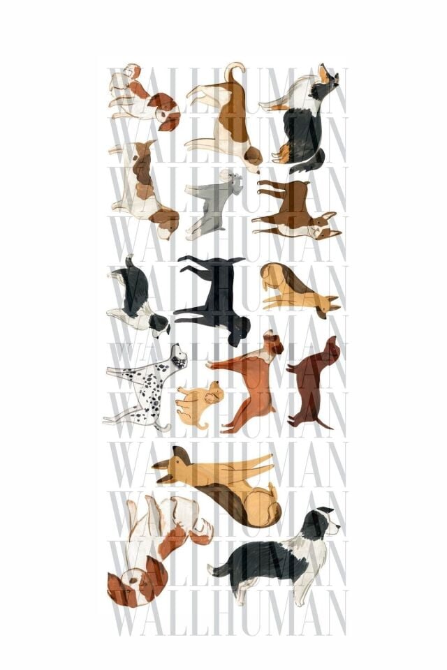 Can Dostlar Çocuk Odası Duvar Stickerı - 50 x 100